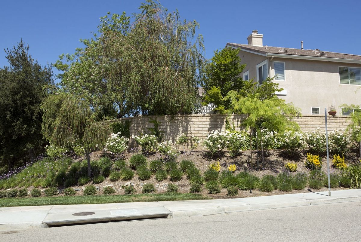 Fair Oaks Ranch HOA Commercial Landscaper in Southern California
